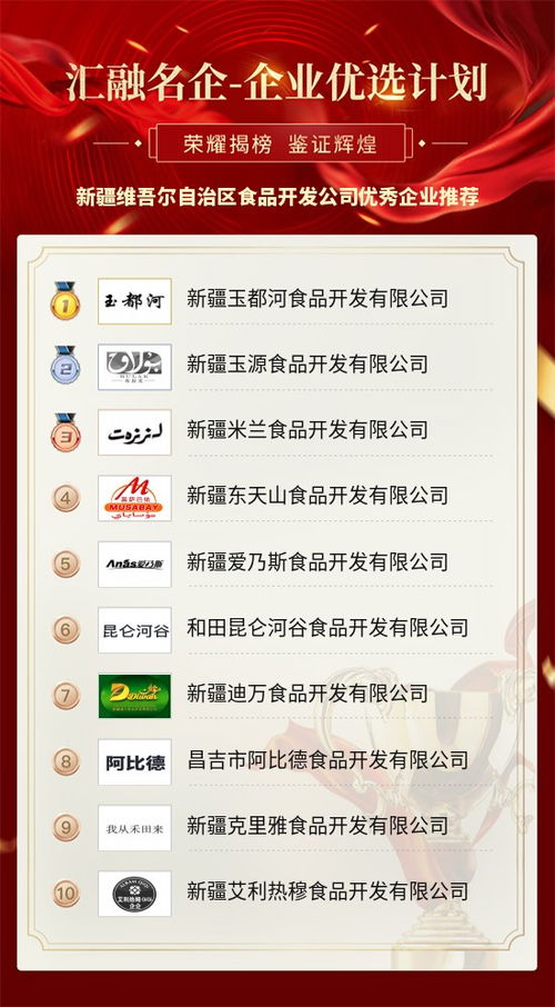 新疆食品开发公司软件开发创新之路 赋能产业升级的优秀企业实践