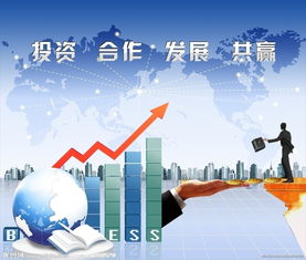 企业软件开发与网络新闻推广的融合之道